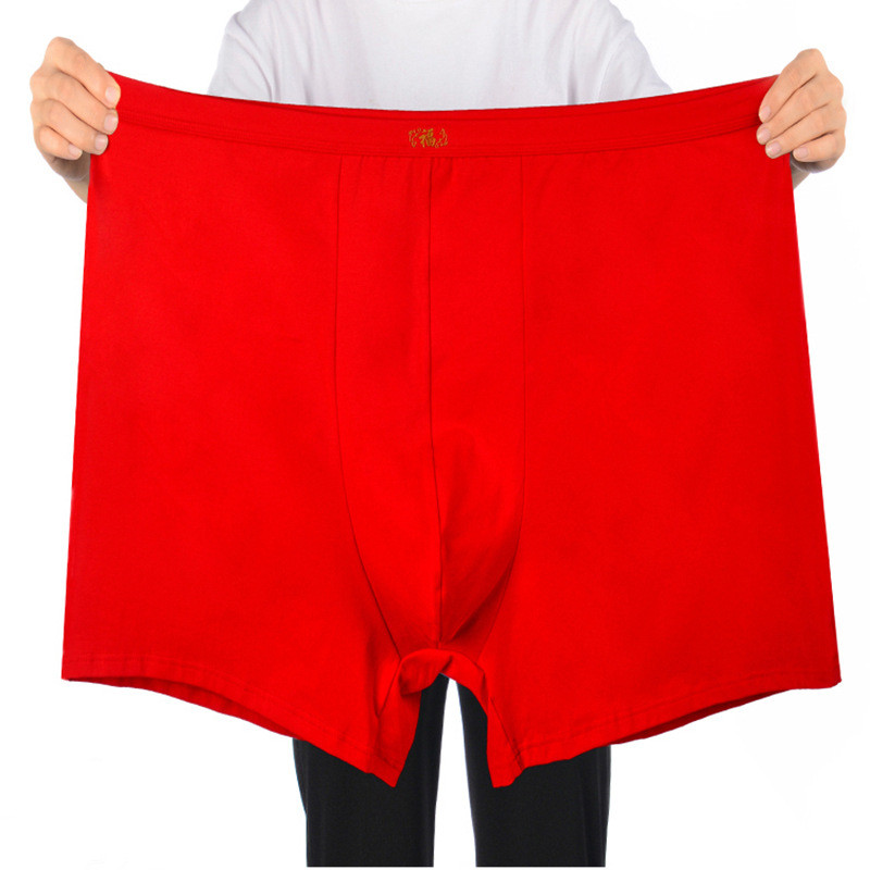 Saf pamuk iç çamaşırı erkekler - Boxer Brief Pack Cotton incelemesi ve fiyatı